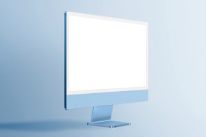 display monitor