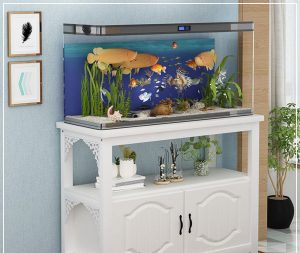 Meja aquarium