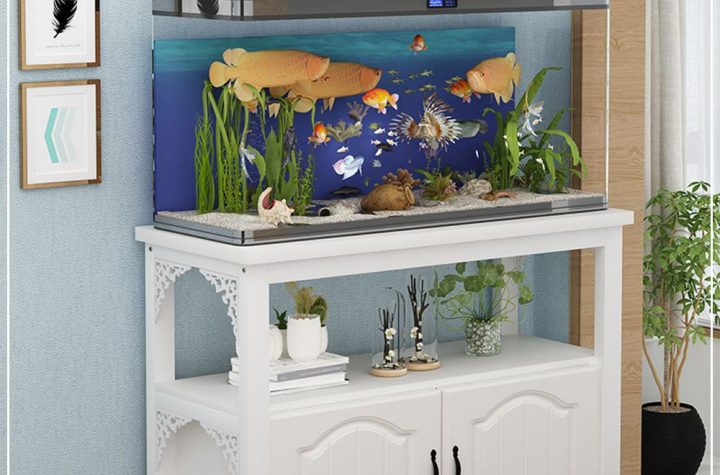 Meja aquarium
