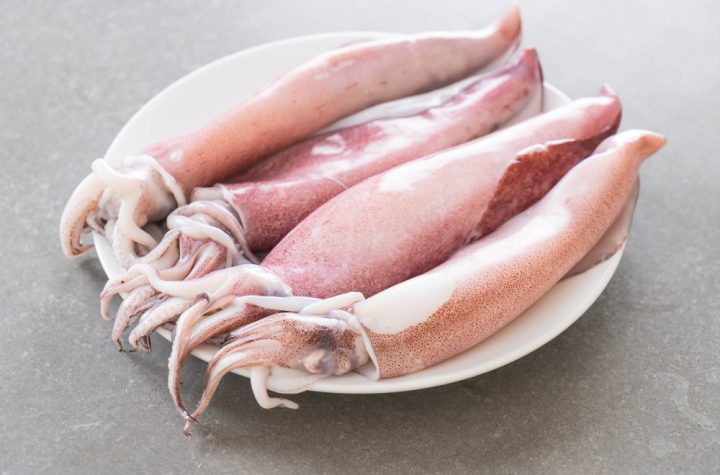 Sotong