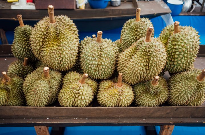 Jenis durian
