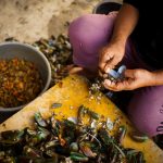 Kerang hijau