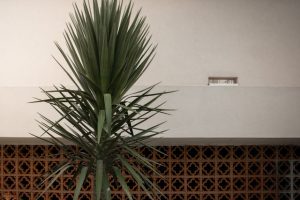 Detail dinding