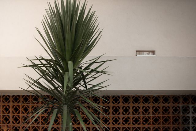 Detail dinding