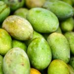 jenis mangga